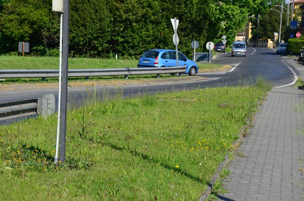 ... near the road...